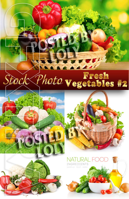 Fresh Vegetables #2 - Stock Photo