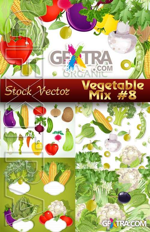 Fresh Vector vegetables # 8 - Stock Vector