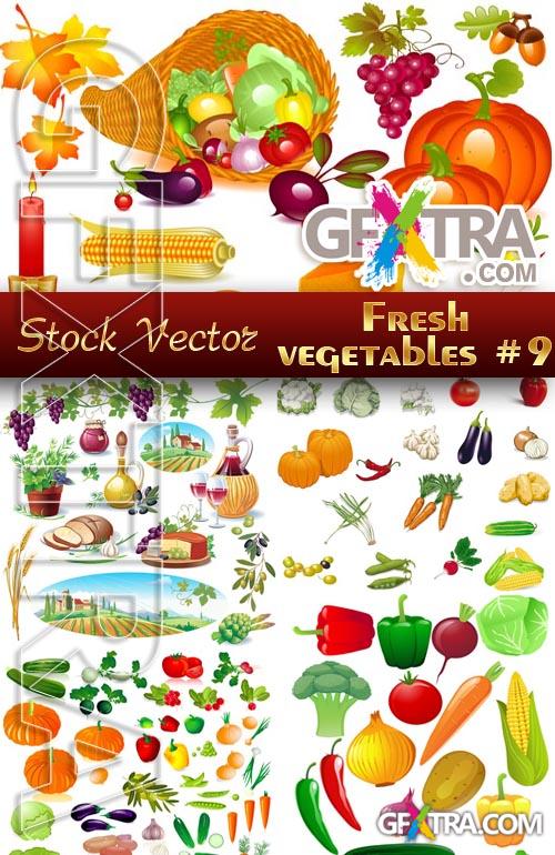 Fresh vegetables #9 - Stock Vector