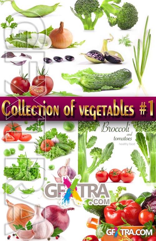 Food. Mega Collection. Vegetables #1 - Stock Photo