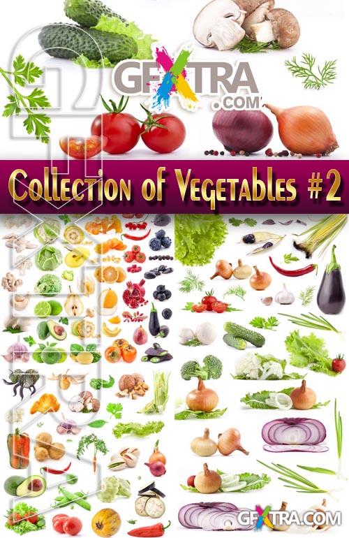 Food. Mega Collection. Vegetables #2 - Stock Photo