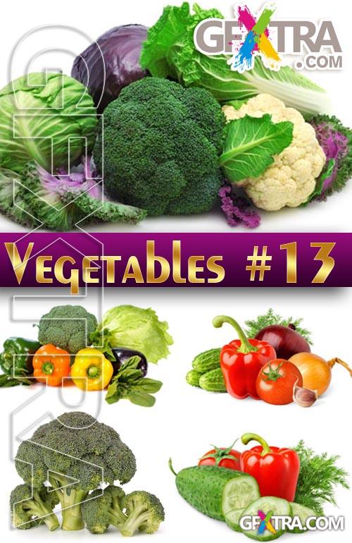 Fresh vegetables #13 - Stock Photo