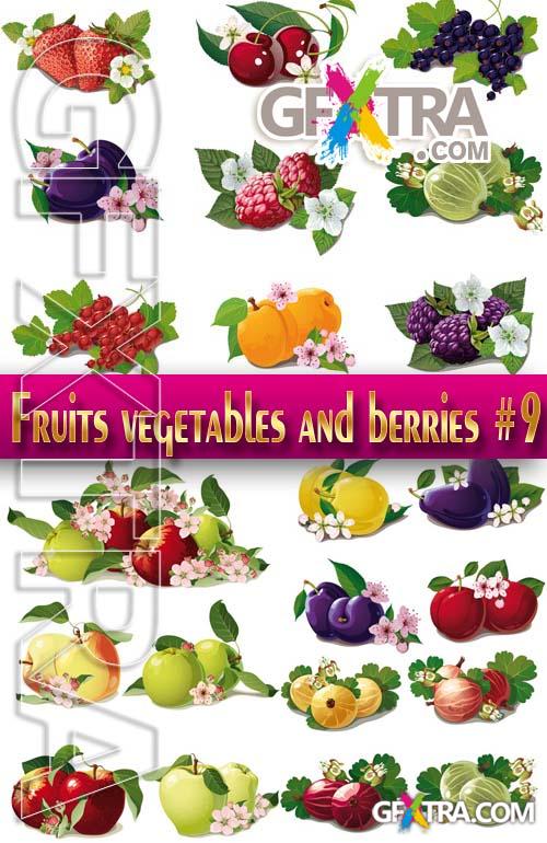 Fruits, vegetables and berries #9 - Stock Vector
