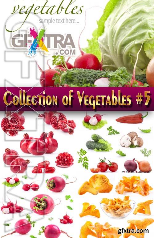 Food. Mega Collection. Vegetables #5 - Stock Photo