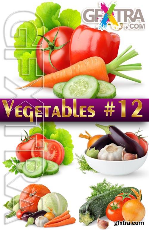 Fresh vegetables #12 - Stock Photo