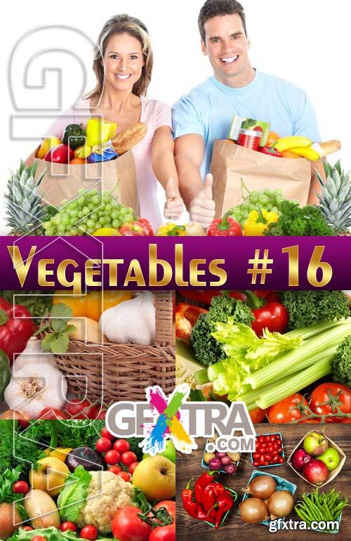 Fresh vegetables #16 - Stock Photo