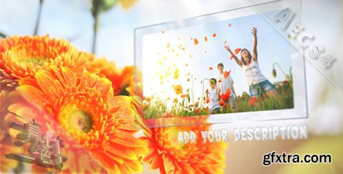 Videohive Sunny Flowers