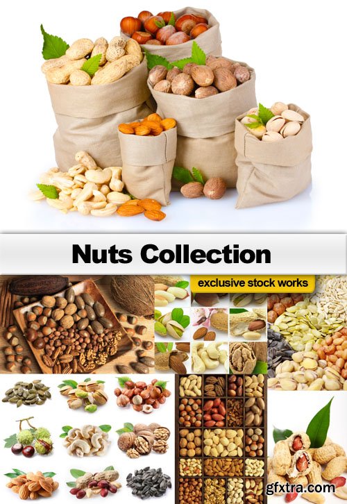 Nuts Collection - 25 JPEG