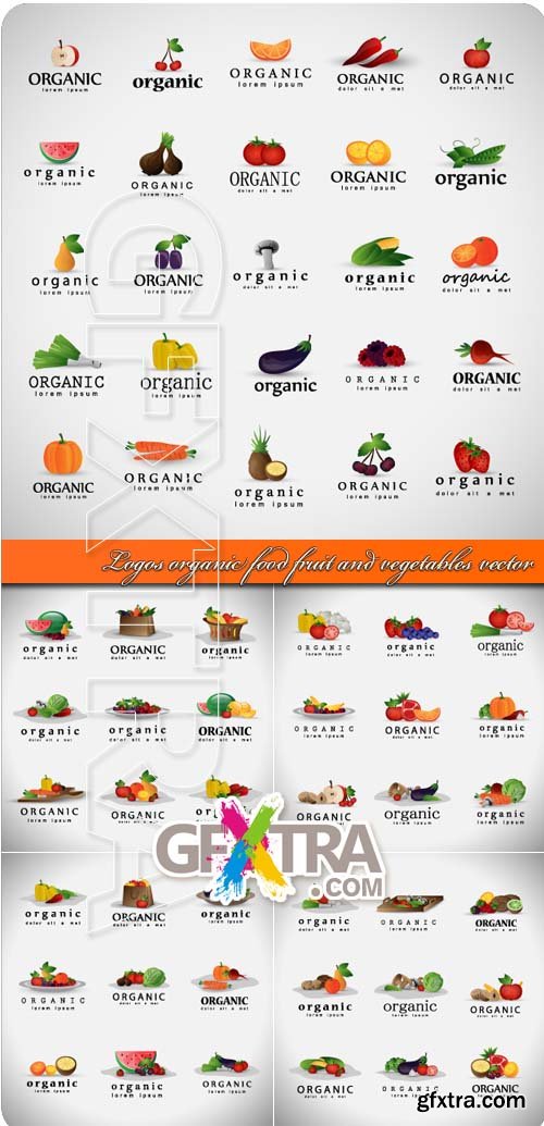 Logos organic food fruit and vegetables vector