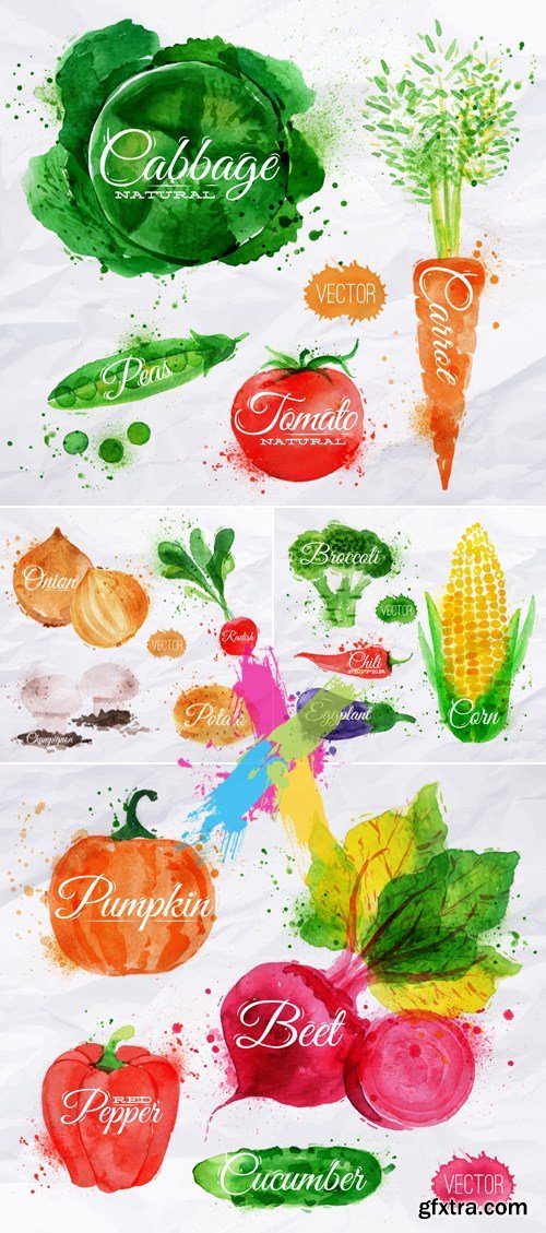 Watercolor Painted Vegetables Vector