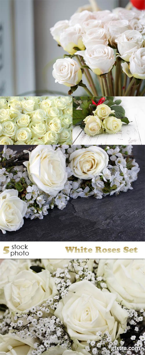 Photos - White Roses Set