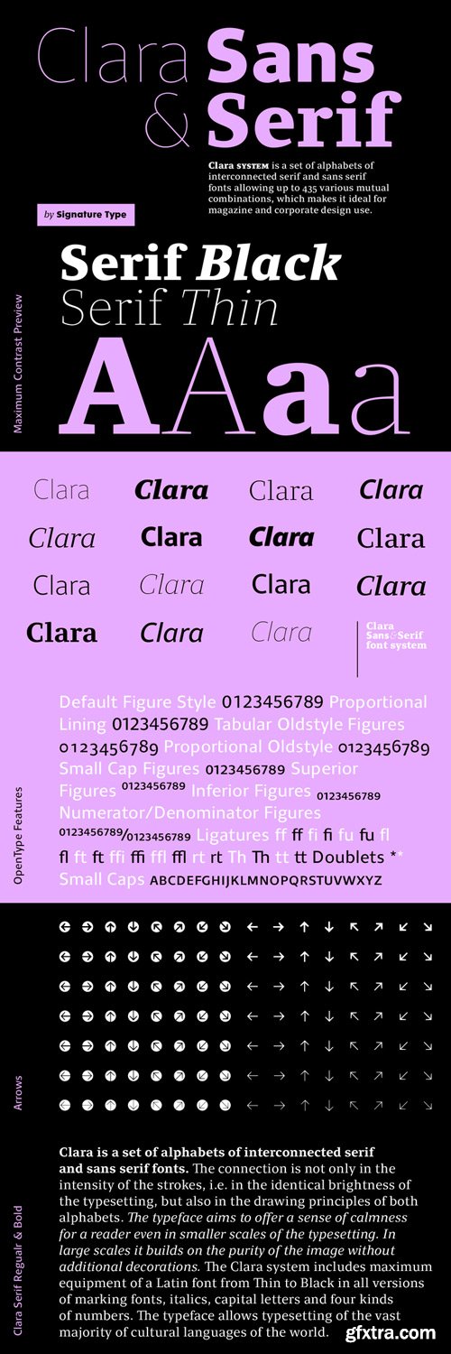 Clara Serif Font Family $248