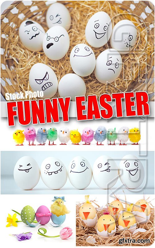 Funny Easter - UHQ Stock Photo
