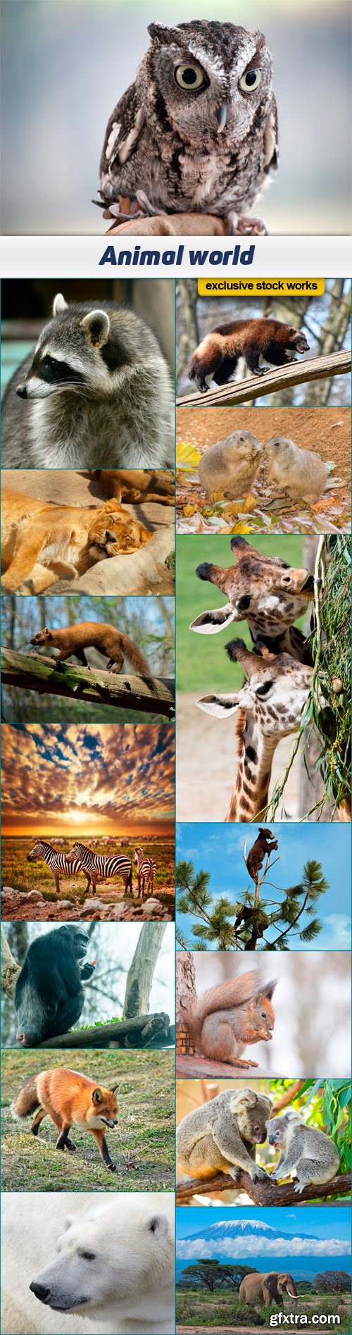 Animal world 15x JPEG