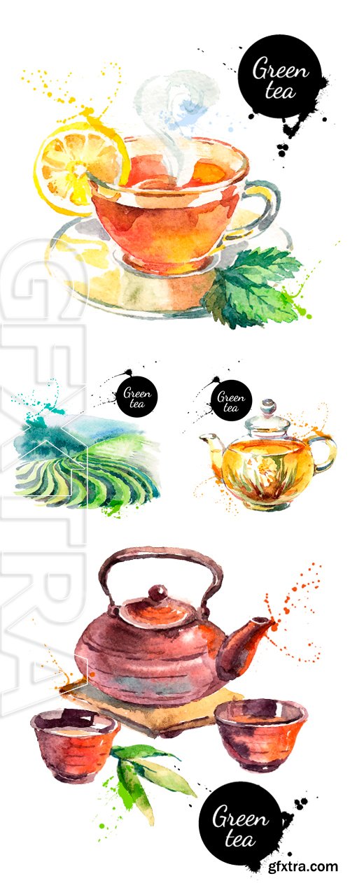 Stock Vectors - Watercolor hand drawn painted tea vector illustration. Menu design