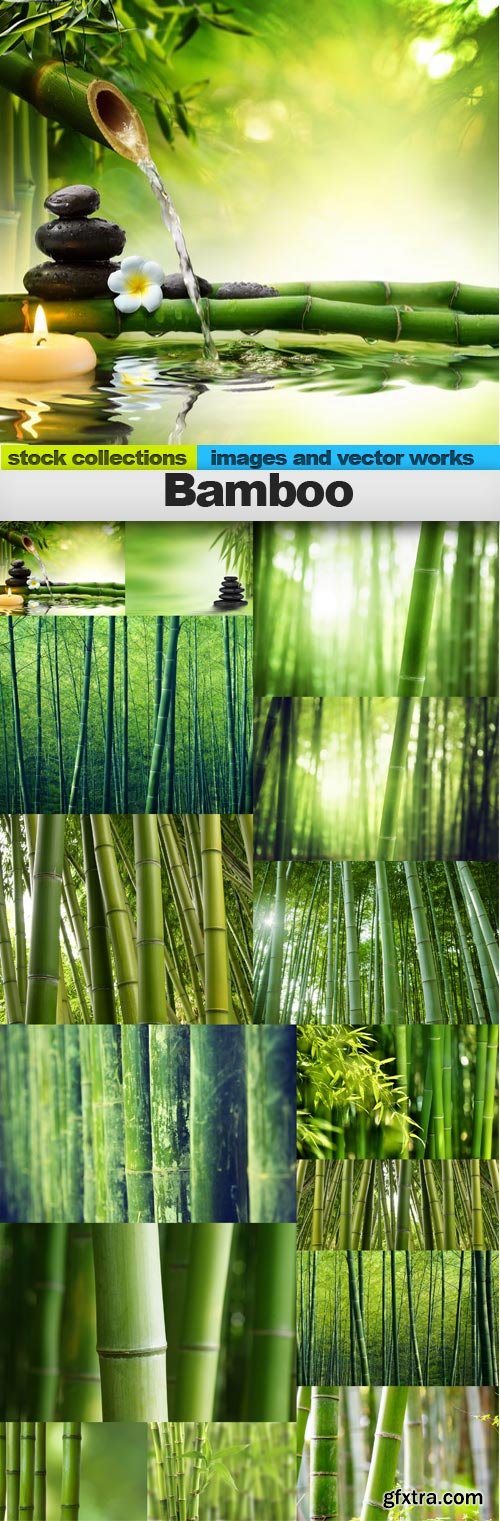 Bamboo, 15 x UHQ JPEG
