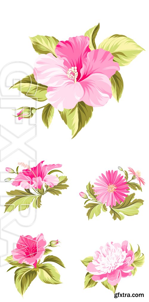Stock Vectors - Flower over white background. Vector illustration