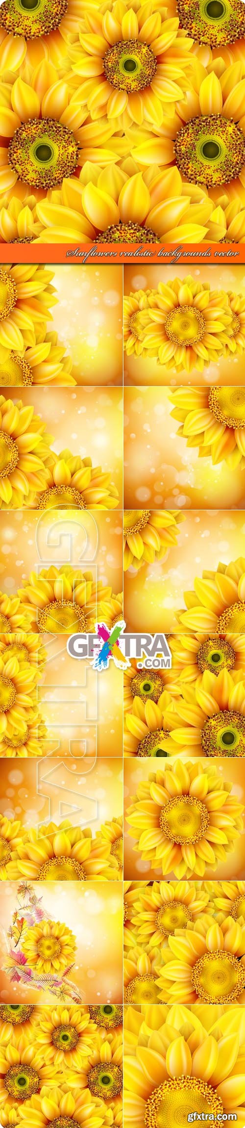 Sunflowers realistic backgrounds vector