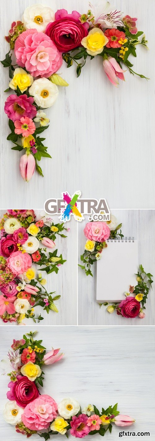 Stock Photo - Floral Frames