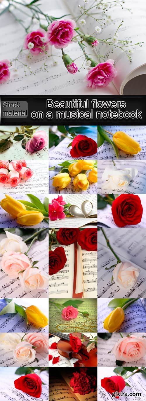 Beautiful flowers on a musical notebook