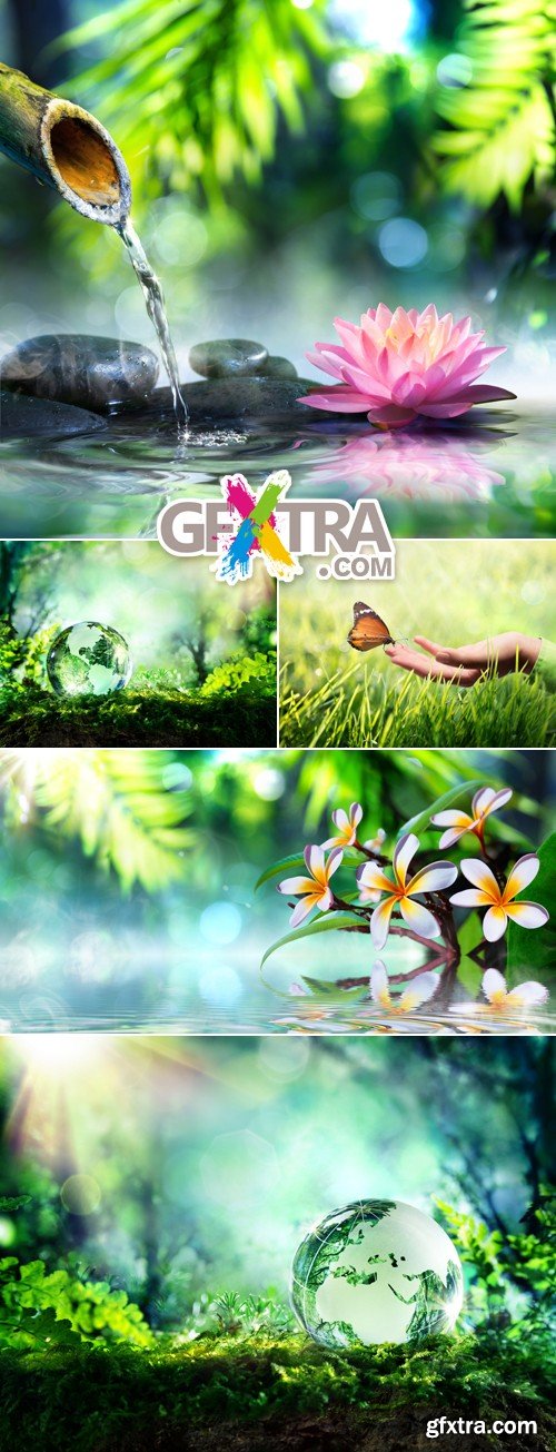 Stock Photo - Green Nature