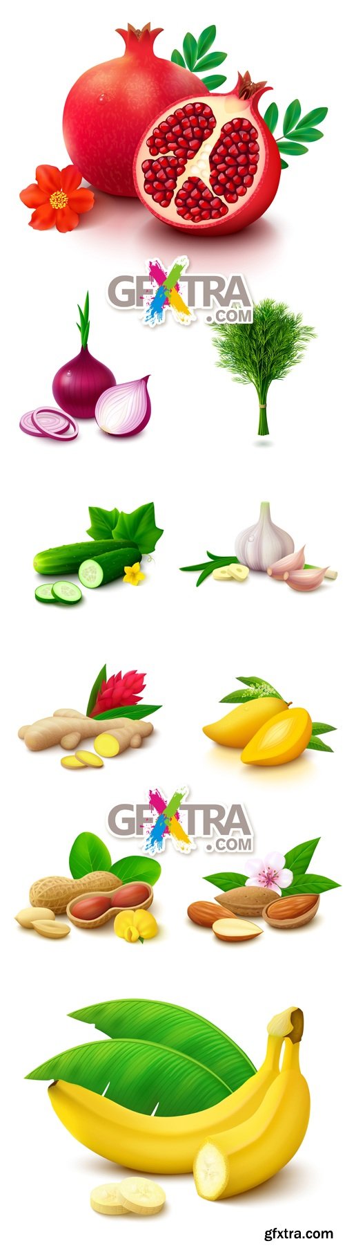 Fruits & Vegetables Isolated Vector