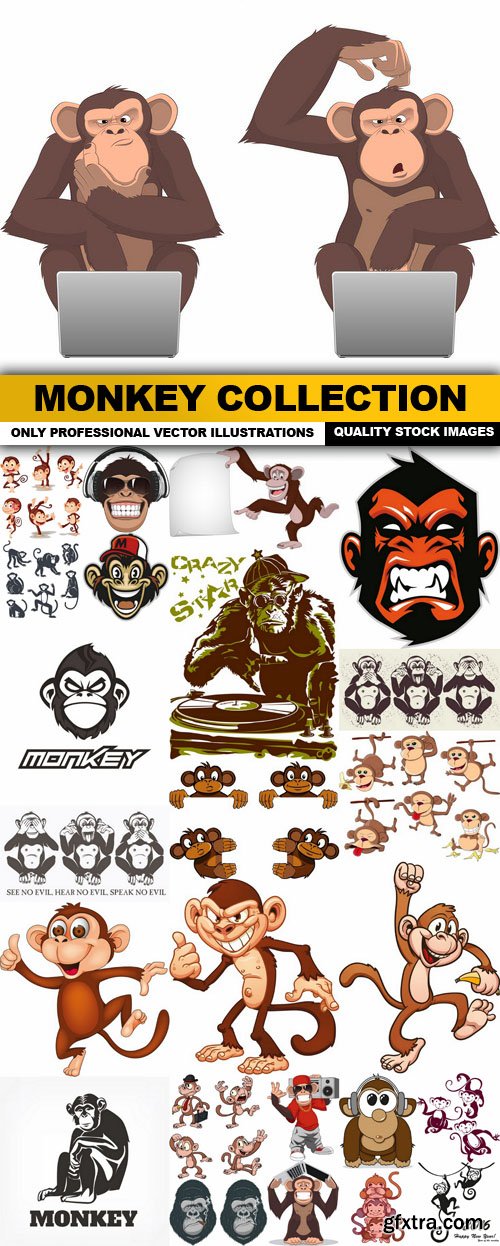 Monkey Collection - 25 Vector