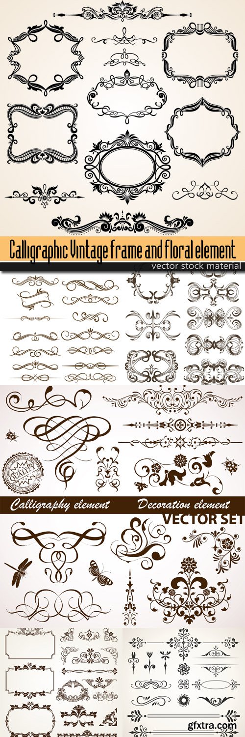 Calligraphic Vintage frame and floral elements