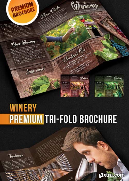 Winery Tri-Fold Brochure PSD Template