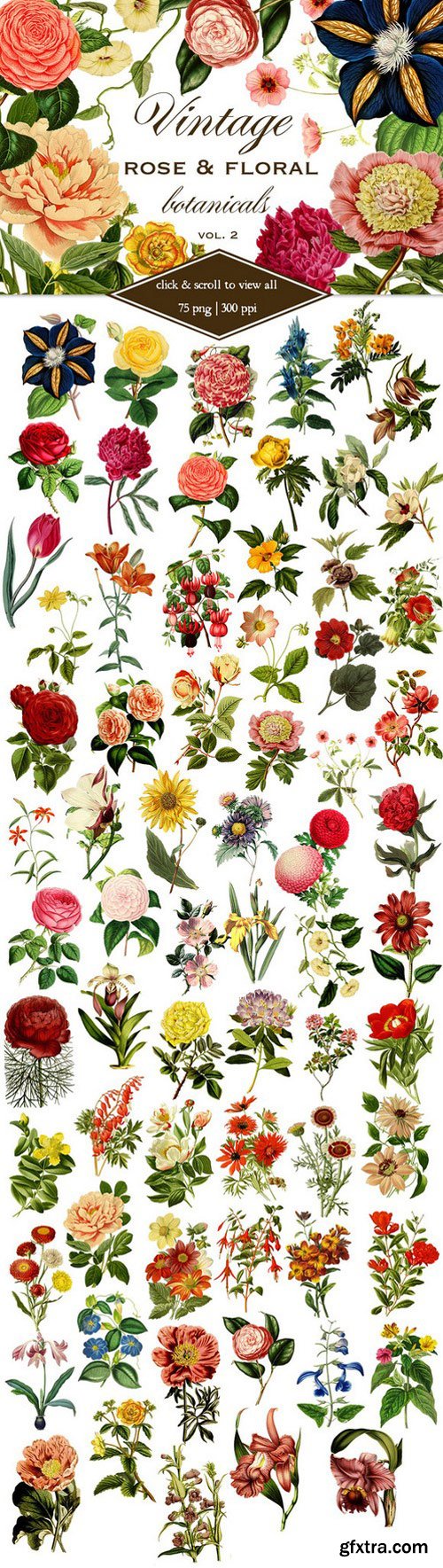 CM - Vintage Rose & Floral Botanicals 2 517276