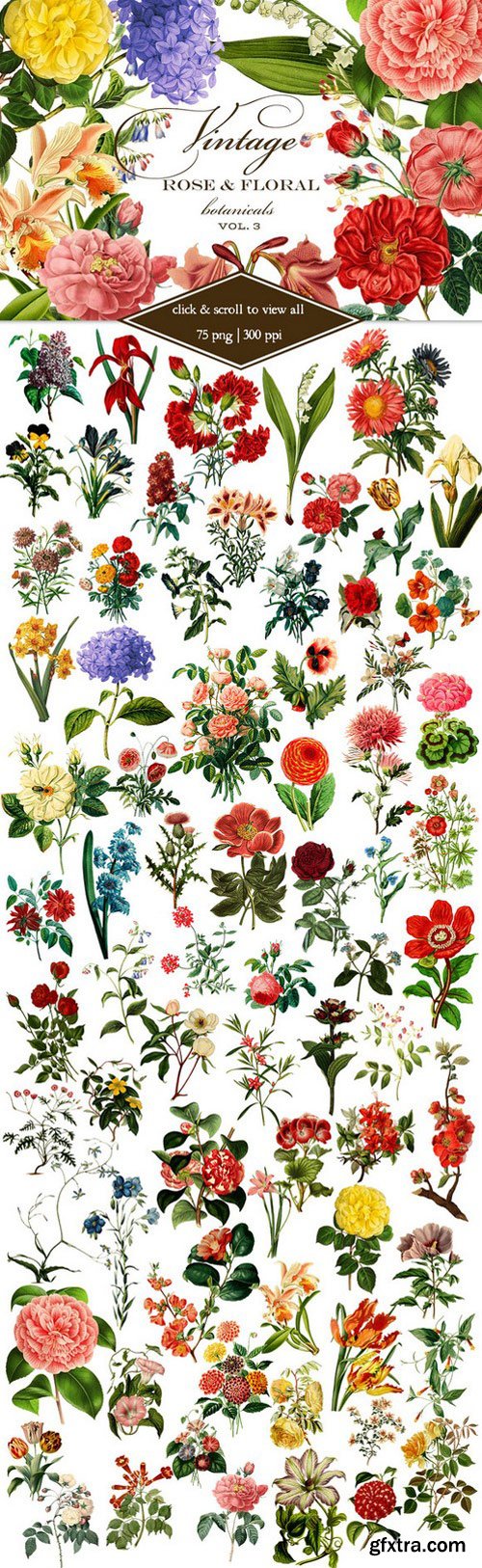 CM - Vintage Rose & Floral Botanicals 3 532741