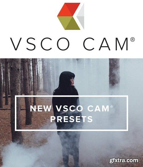 VSCO CAM Presets in LUTs (.cube) for AE, Photoshop, Premiere, Resolve and FCP X (Win/Mac)