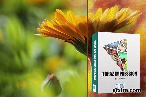 Topaz Impression 2.0.5 DC 23.12.2016 for Adobe Photoshop (Mac OS X)