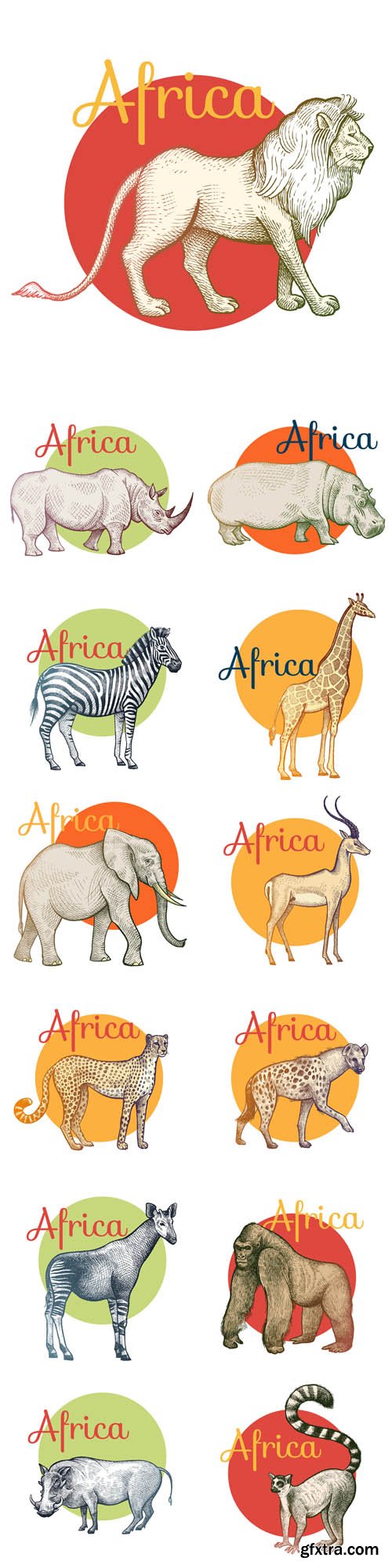 Vector Set - African Animals