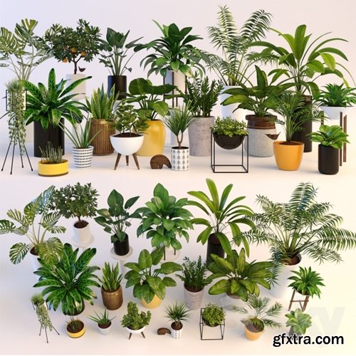 Plants in 20 Groups 3DMax MEGA SET!