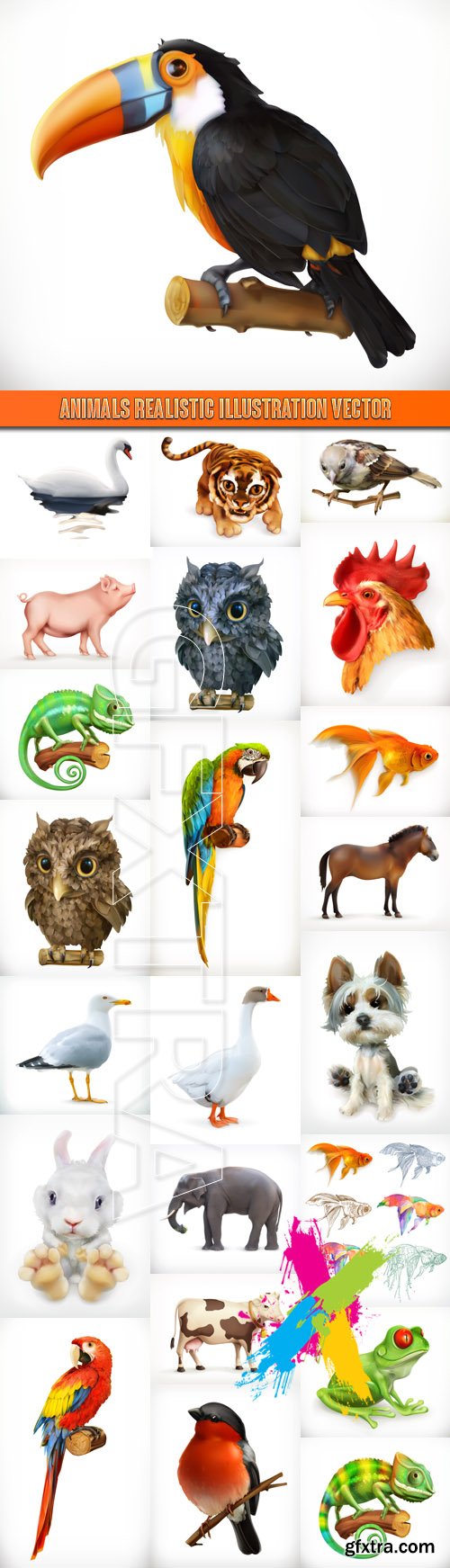 Animals realistic illustration vector
