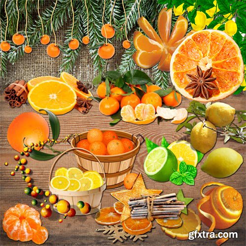 Citrus fruit on a transparent background