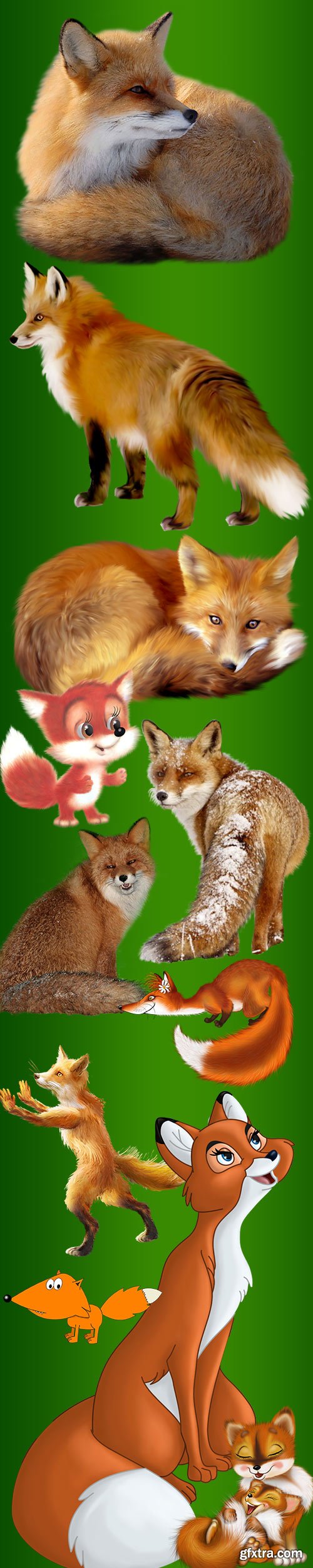 Fox - clipart on a transparent background