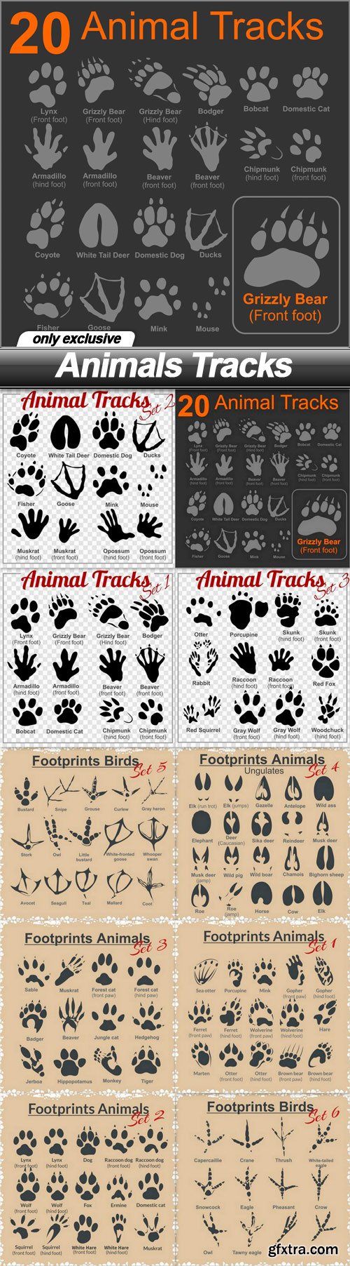 Animals Tracks - 10 EPS