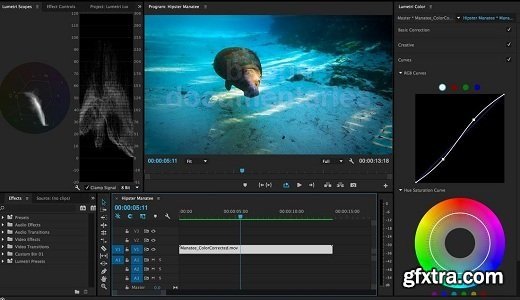 Stylize Your Video Footage in Adobe Premiere with Lumetri Color