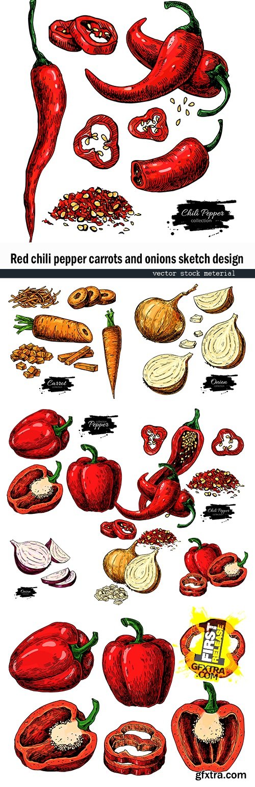 Red chili pepper carrots and onions sketch design