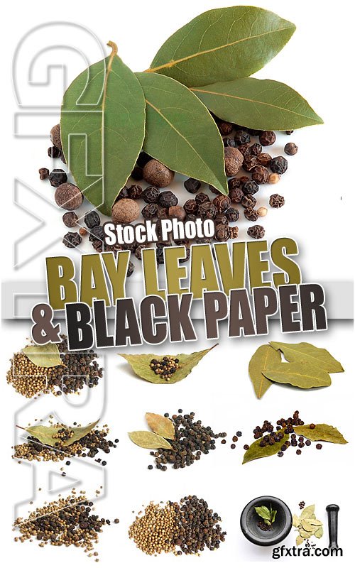 Bay leaves and black pepper - UHQ Stock Photo