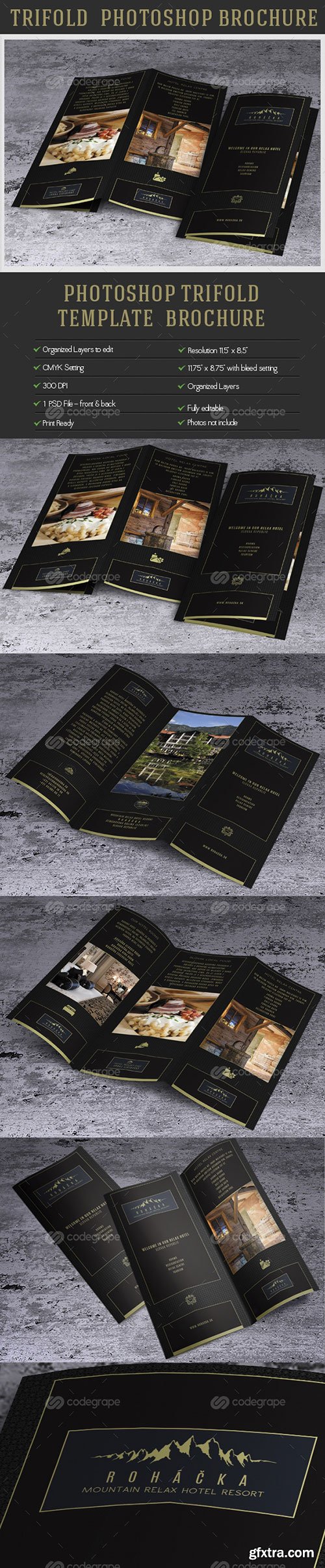 TriFold Brochure 11784