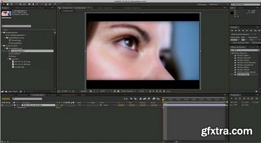 RevisionFX RE:Flex for After Effects 5.2.7 (Mac OS X)