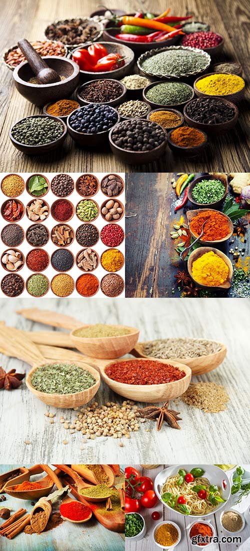 Spices & Herbs raster graphics