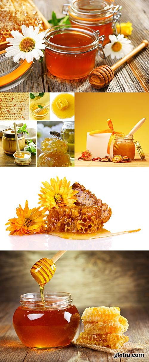 Honey raster graphics 2