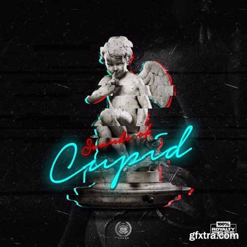 Rebel Nation Audio Sounds Of Cupid WAV MiDi-DISCOVER