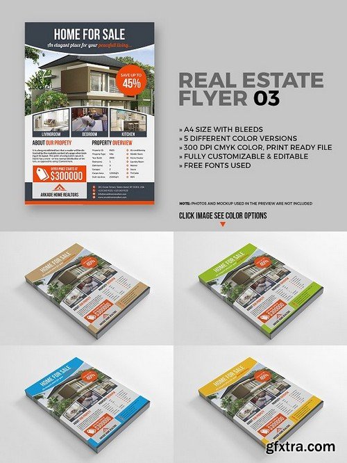 Real Estate Flyer 03