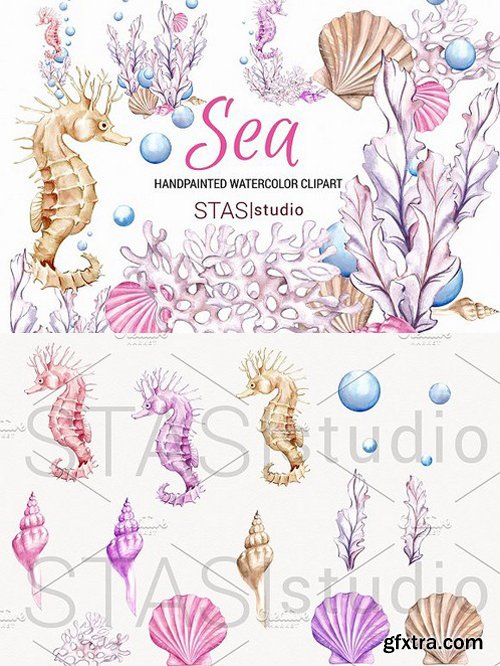 CM - Ocean Watercolor Clipart Seahorse 1572240