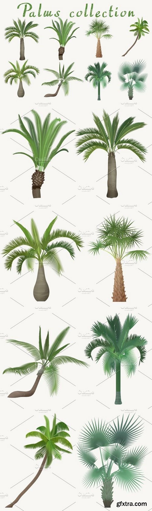 CM - Exotic tropical realistic palm tree 1326593